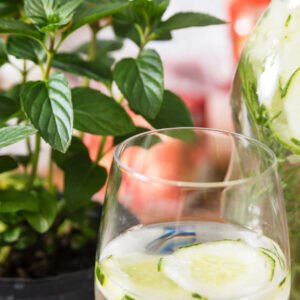 Gut Health Reset Guide