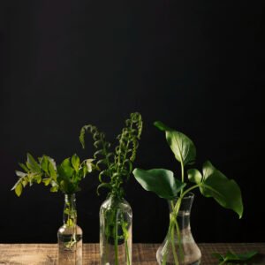 Low-Tox Home Starter Guide